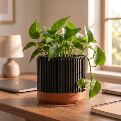 Fluted Cylinder Planter in Matte Black holding a trailing pothos on a walnut desk