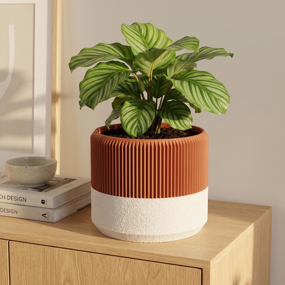 Ribbed Wide Planter in Burnt Rust holding a calathea on an oak sideboard
