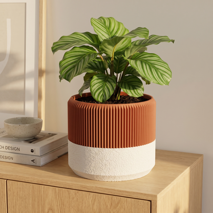 Ribbed Wide Planter in Burnt Rust holding a calathea on an oak sideboard