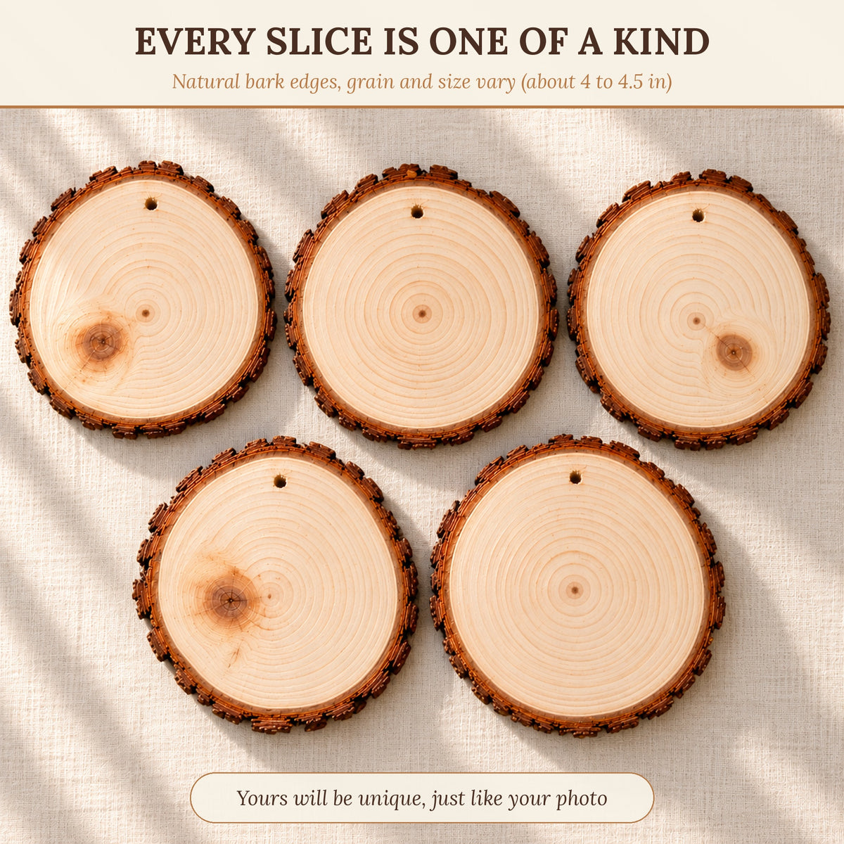 Five real pine wood slices with bark showing that every slice is one of a kind, about 4 to 4.5 inches